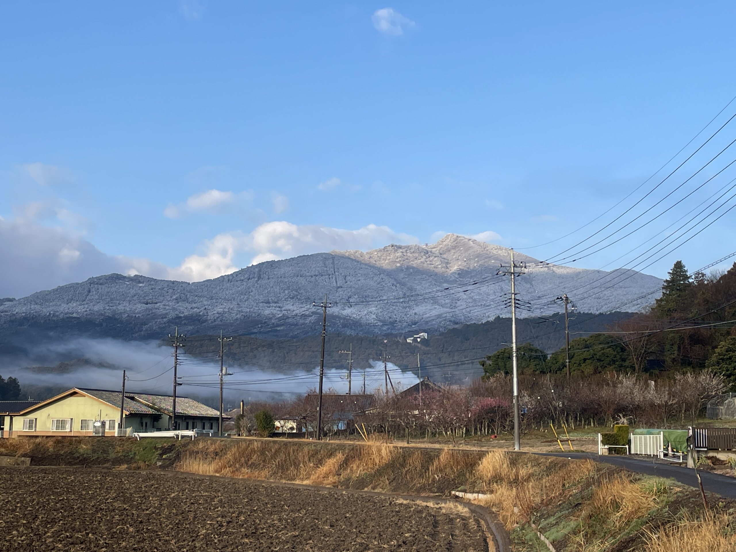 北の強風ですが…