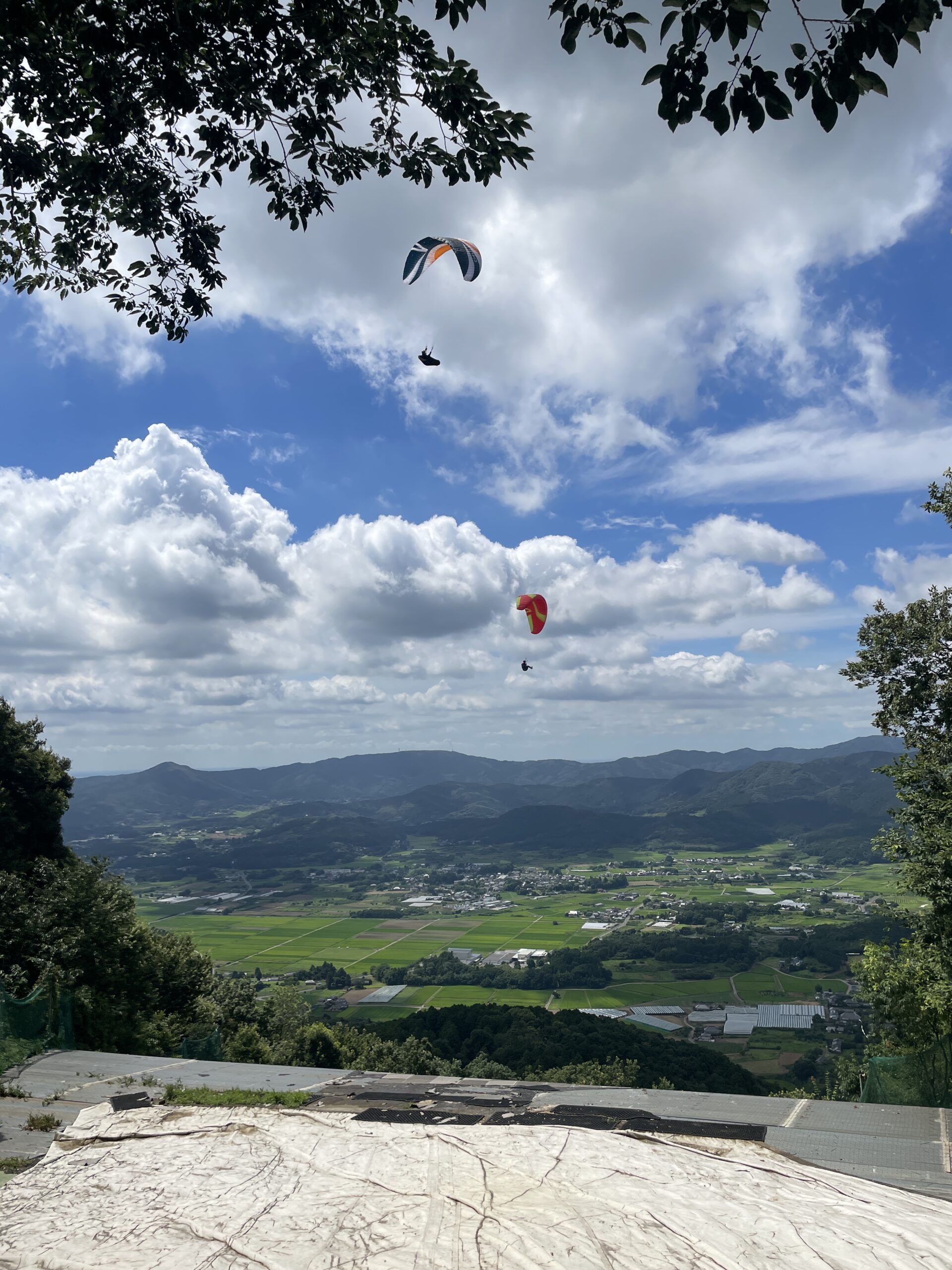 よく飛べました。