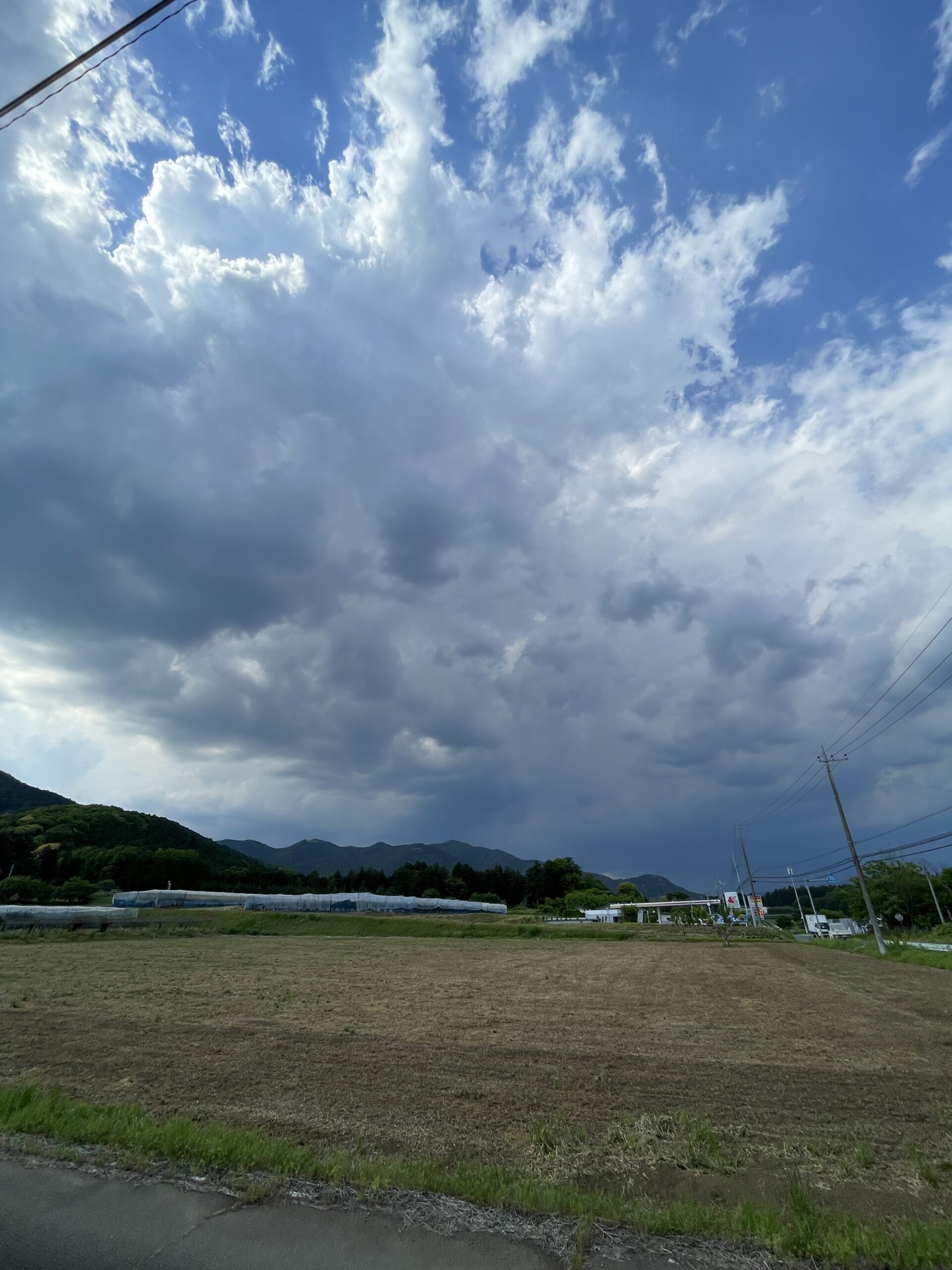 夏空ですね